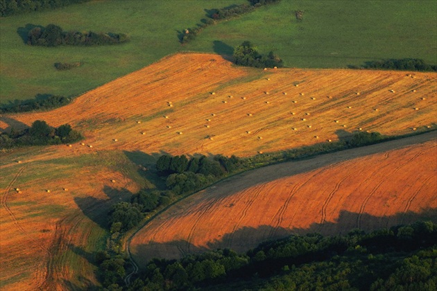 Ráno na lúkach