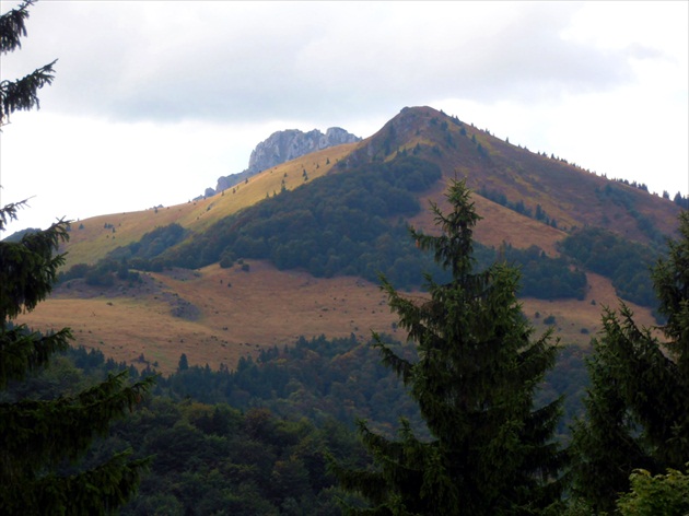 Osnica, Rozsutec