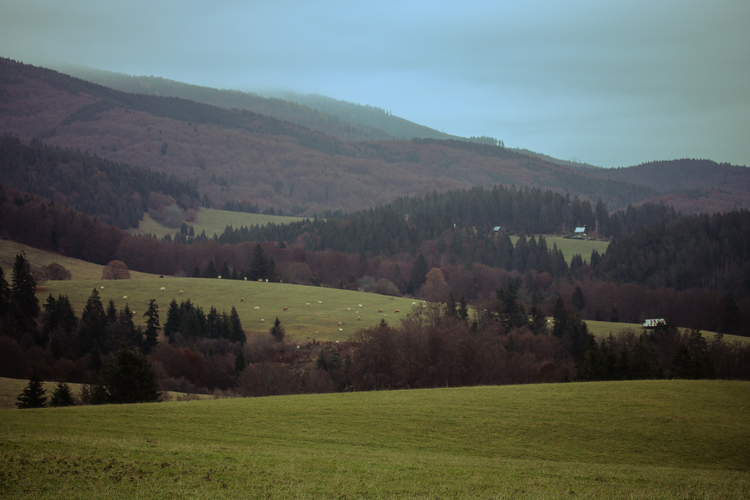 Pohanské