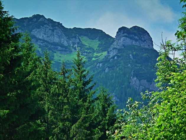 Pod vrcholom V.Choča