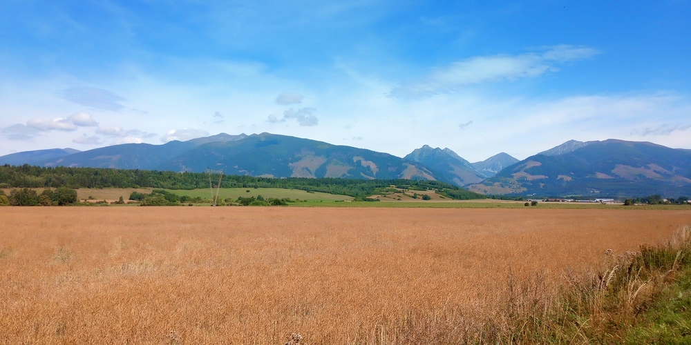 Pohľad na Záp.Tatry