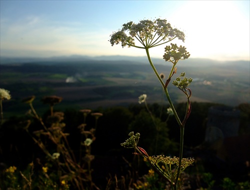 podvečerná