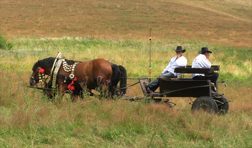 gazdovské taxi