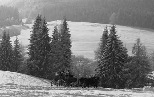 zimná idylka CB