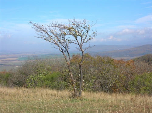 Meškov vrch (jeseň)