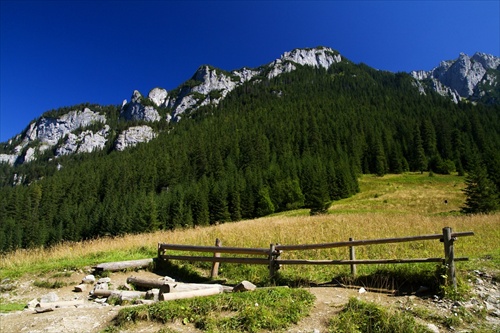 Poľana v Koscieliskej doline