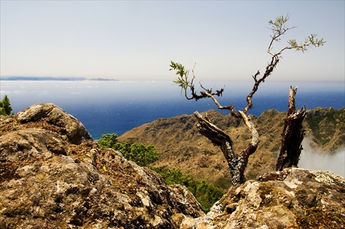 Anaga - Tenerife