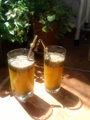 Terere