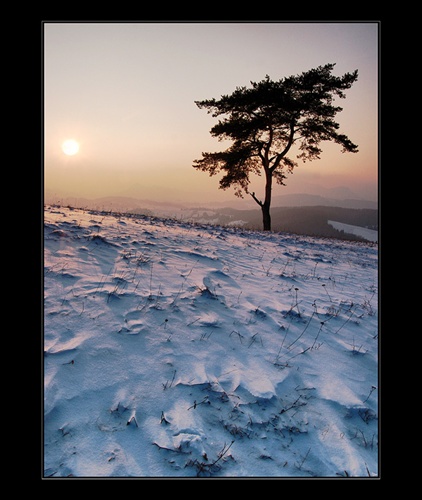 Frost sunset