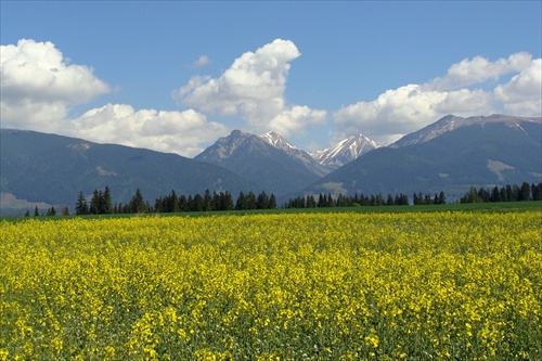 Západné Tatry