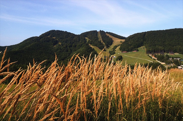 KĽAK - FAČKOVSKÉ SEDLO