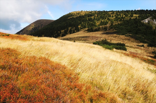 VELKÝ BOK - NÍZKE TATRY 1