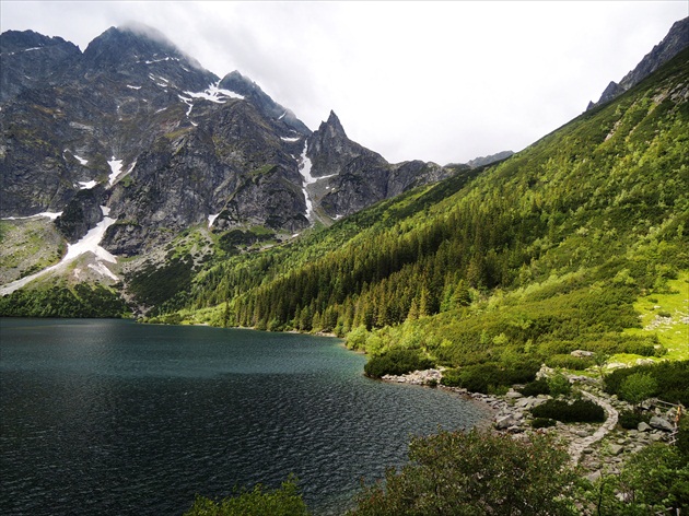 MORSKIE OKO