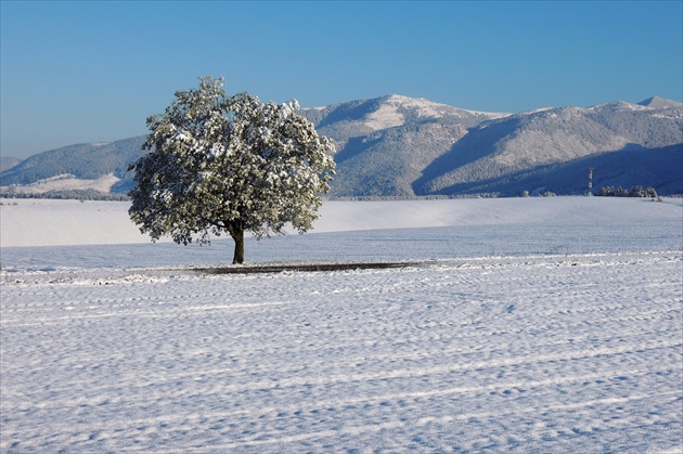 APRÍL NA LIPTOVE I.