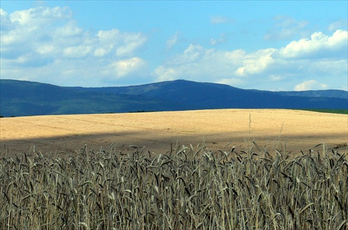 Augustové fabičky