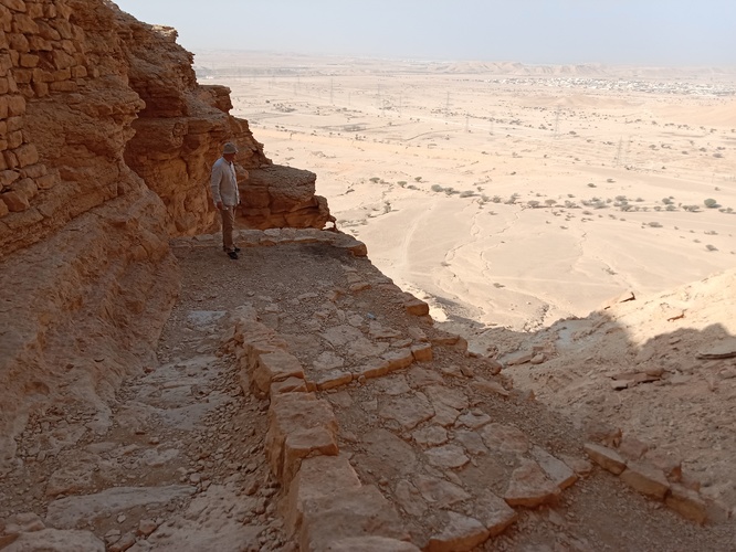 Camel Trial Riyadh Saudska Arabia