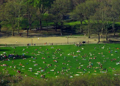 Central Park