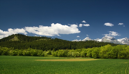 Jarné potešenie