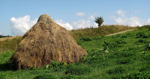 zásoby na zimu