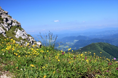 skalka v horách