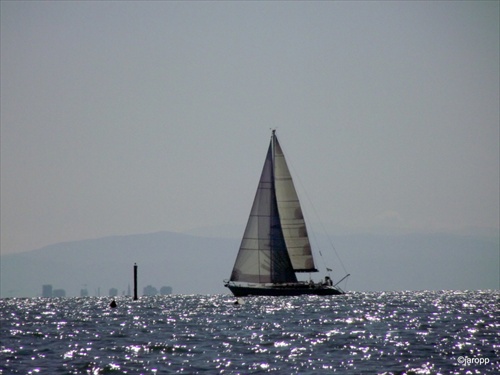 barca a vela in mare