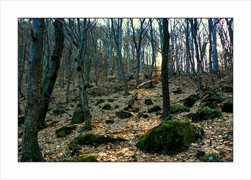 Západovka trochu inak...