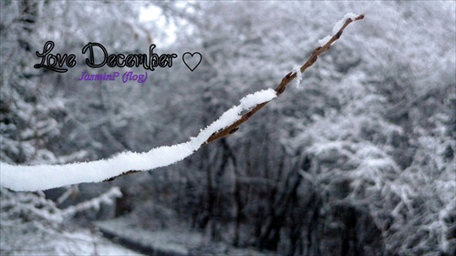 Love december ♥