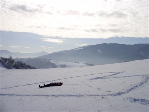 In the heart.. of Slovakia