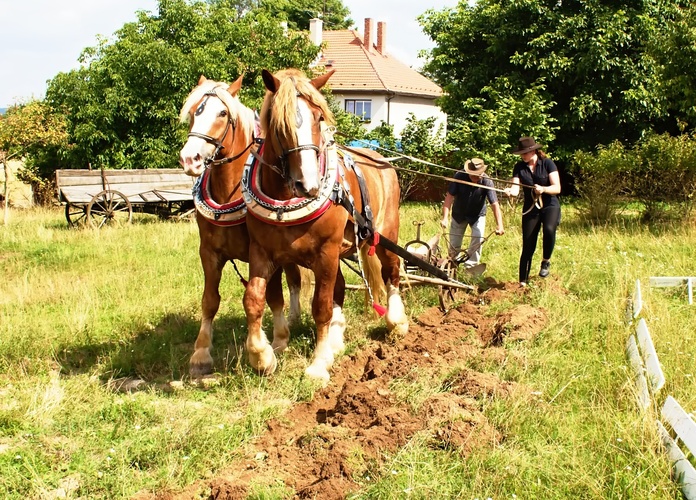 ukázka