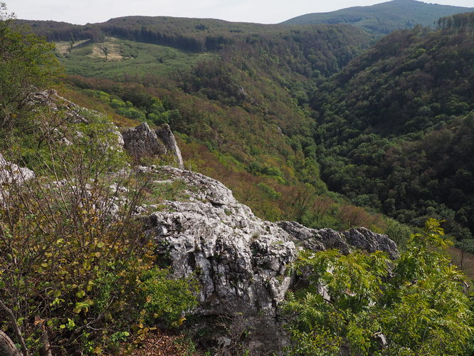 Kršlenica