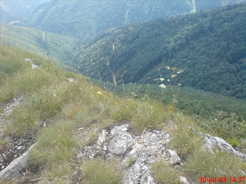 Údolie pod Majerovou skalou