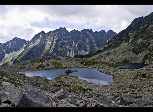 Žabie plesa