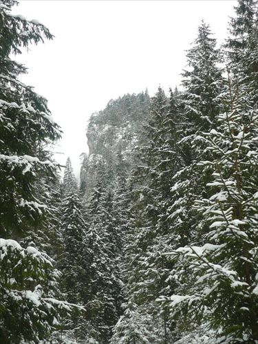 Demänovská dolina