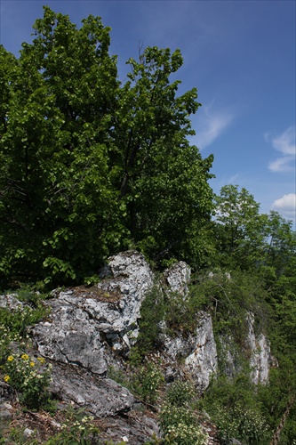 muranska planina