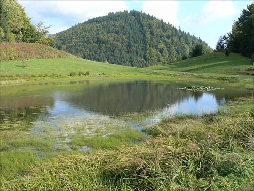 Jazierko na Misutoch