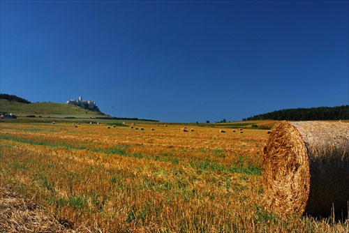 Pod Spišským Hradom