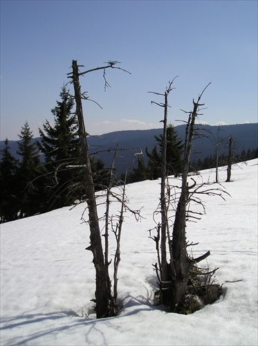 Vasiľovská hoľa