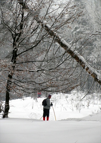 Piatimi hoľami 2010