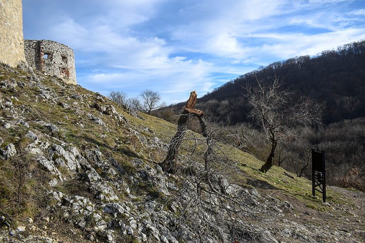 Plavecký hrad