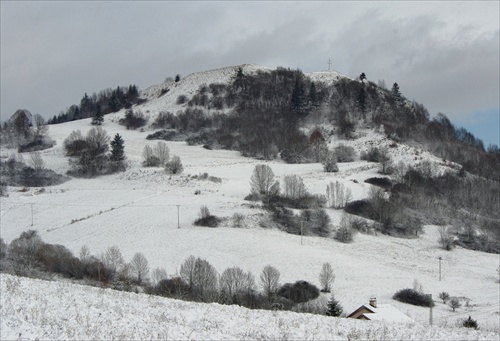 Ostražica