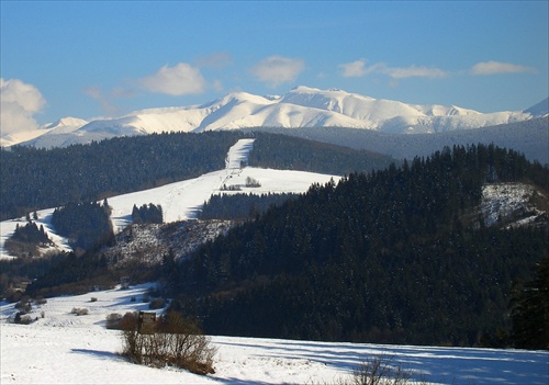 Roháče - Salatín, Brestová