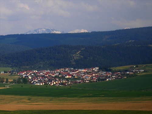 Brezovica