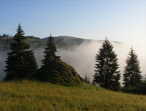 Hmlová idylka II.