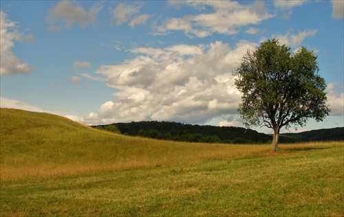 Letný podvečer