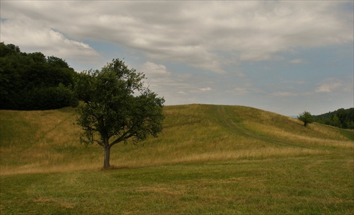 Letný výlet