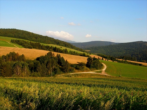 Slovensko naše