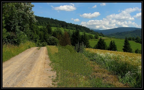 Cestička do poľa