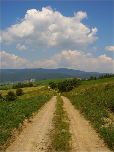 Cestička do poľa