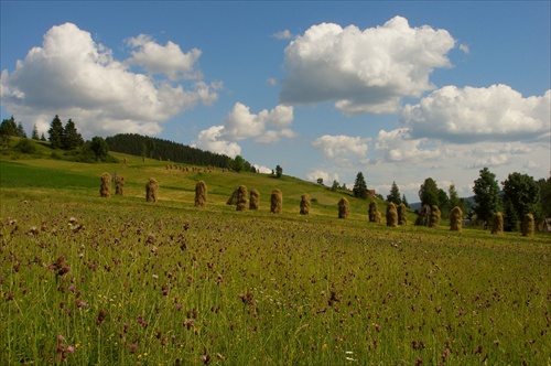 Rozlúčka s letom