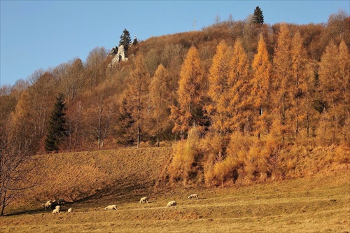 Pod Ostražicou